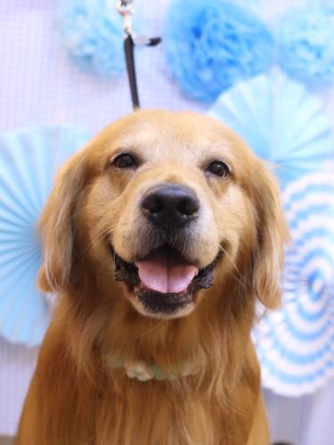 20231114レオくん